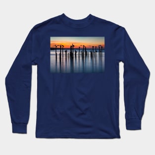 Pelican Silhouettes at Sunset Long Sleeve T-Shirt